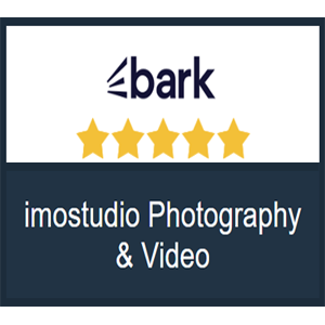 bark-imostudio